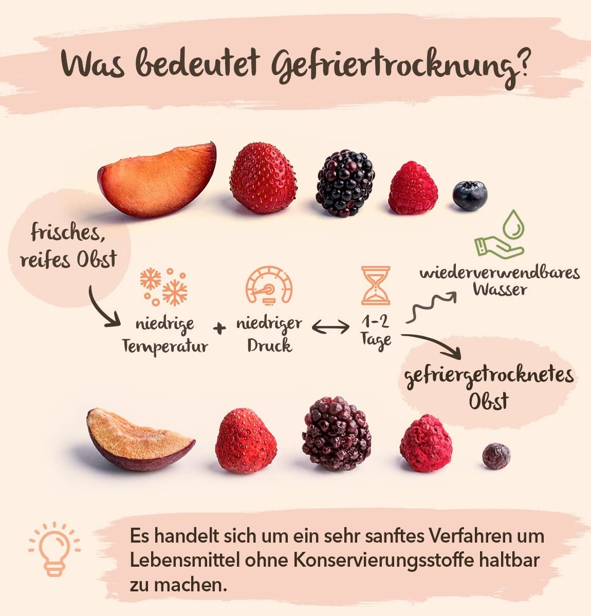 BRIX Gevriesdroogde Mango | Natuurlijke, gedroogde mangoschijfjes 95 g | Great Taste Award gedroogd fruit, gevriesdroogde mango | Niet-GMO, glutenvrij, veganistisch, achtergehouden vitamines Naty Shop gedehydrateerde producten