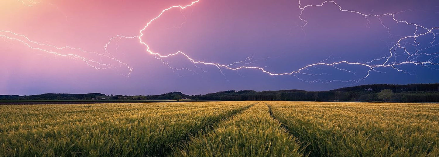 Ravensburger Nature Edition 17491 Zomerstorm - Legpuzzel van 500 stukjes voor volwassenen en kinderen vanaf 12 jaar Puzzel Naty Shop