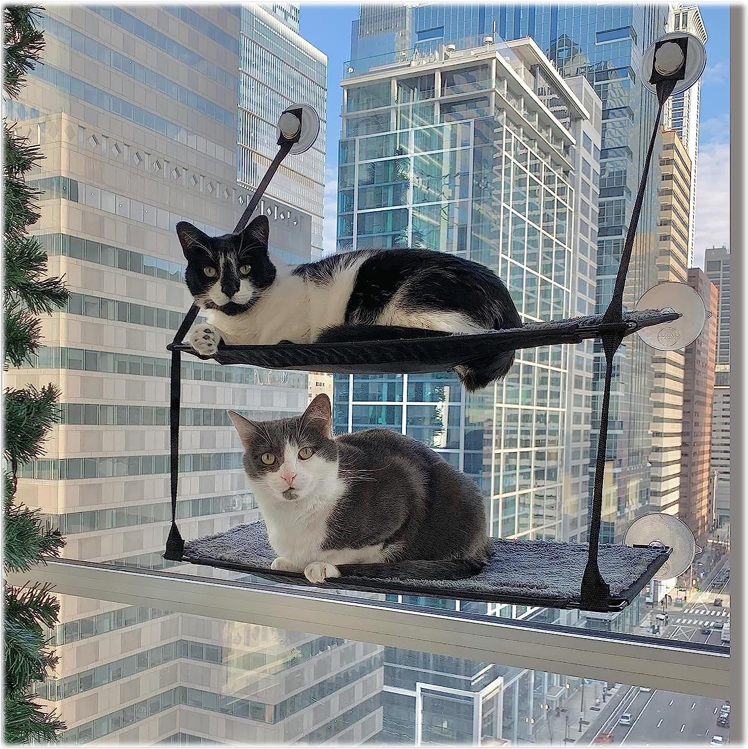 Dekens en meubelen, Raamstoelen, Huisdieren, Katten, Kattenbedden, Katten - bedden, matrassen