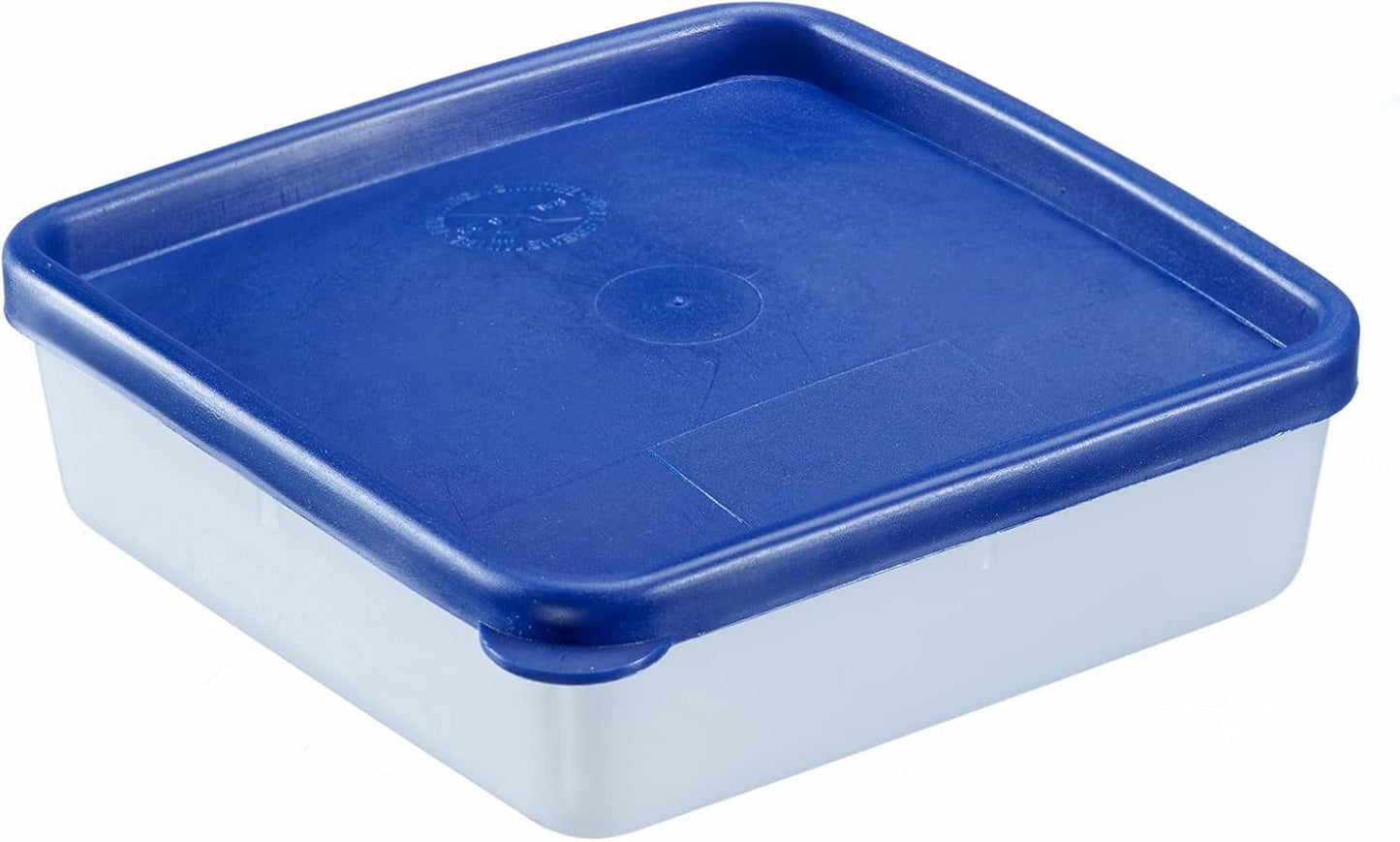 Westmark 4 voedselbewaar-/vriescontainers, inclusief deksel, inhoud: elk 0,25 l, stapelbaar, kunststof, Trio, kleur: transparant/blauw, 25042270 Voedselbewaardozen Naty Shop