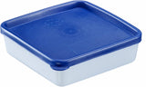 Westmark 4 voedselbewaar-/vriescontainers, inclusief deksel, inhoud: elk 0,25 l, stapelbaar, kunststof, Trio, kleur: transparant/blauw, 25042270 Voedselbewaardozen Naty Shop