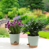 Bloempot 6 stuks 12,7 cm zelfwater gevende plantenbak hoge drainage binnen buiten bloempot met reservoirbak en gietrand tuin plantenbak tuin