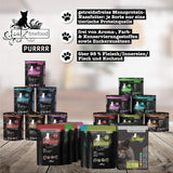Kattennatvoer Catz Finefood Purrrr met monoproteïne en zalm nr. 105, voor katten met een gevoelige spijsvertering, 16 x 80 g