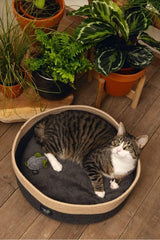 Bedden, dekens & meubels, huisdieren, katten, kattenmanden, Katten - bedden, matrassen