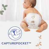 Douceur Naturelle - Slipje, maat 6 (16-26 kg) 1 maandpakket - 112 slipjes