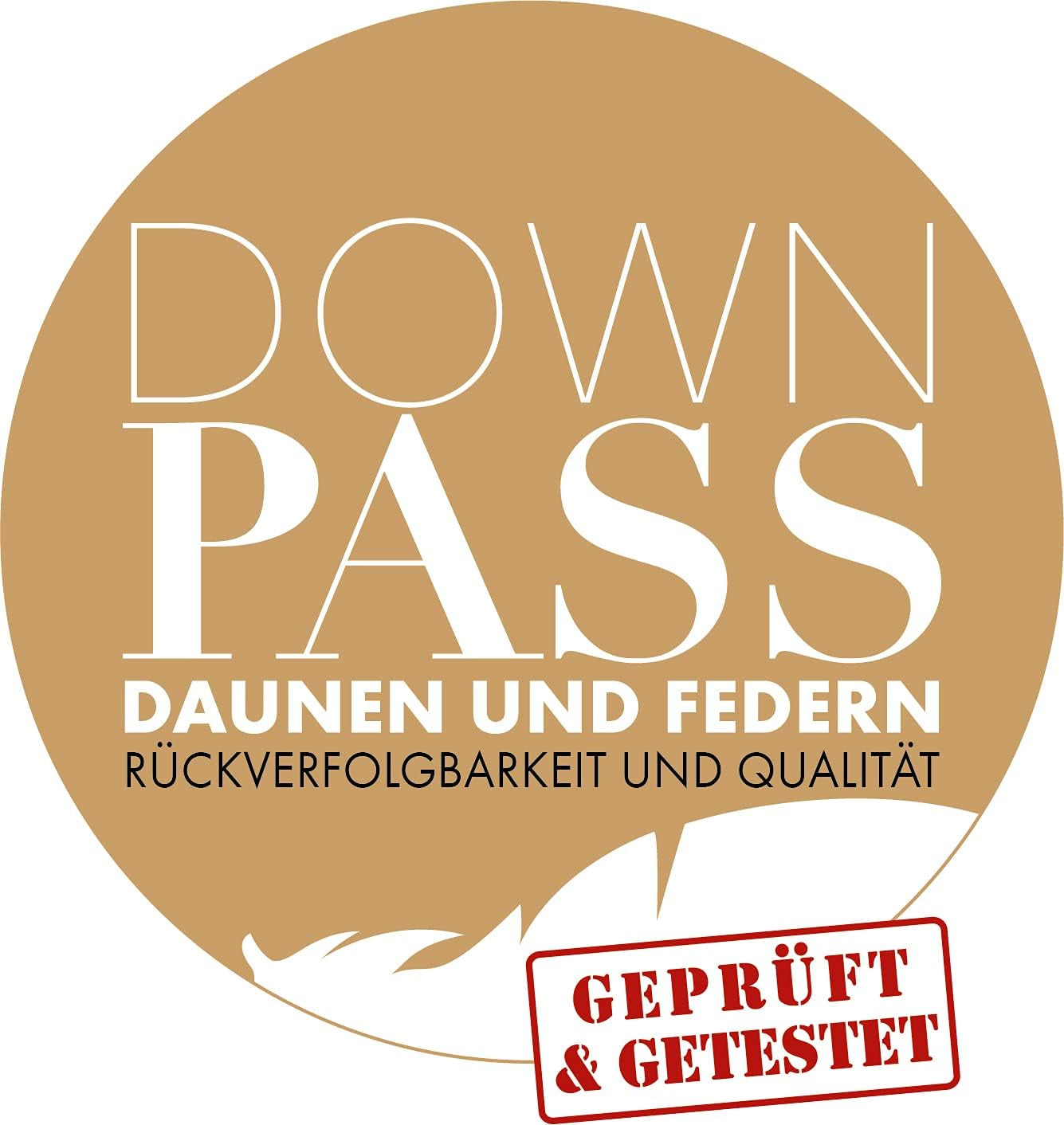Irisette Nora donzen dekbed Lichtgewicht zomerdekbed met 100% katoenen hoes, 100% donsvulling klasse I, 135 X 200 cm, Oeko-Tex gecertificeerd, geproduceerd volgens de Duitse kwaliteitsnorm Quilts en quilts Naty Shop