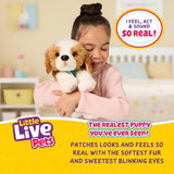 Little Live Pets Mijn echt echte puppy – Patches; Interactief puppy; meer dan 60 geluiden/reacties; realistische uitstraling; 1 van 72 varianten; speelset met draagtas; batterijen inbegrepen; leeftijden 5+