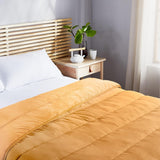Pikolin Home - Omkeerbaar dekbed 300 G - Tweekleurige Scandinavische vulling - Voor bed 90 - comfortabel, warm, ademend, Kaasjeskruid, 150 X 220 Cm Dekbedden en dekbedden Naty Shop