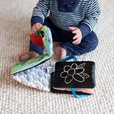 Lamaze Kleurrijke rupsrit, speelgoed voor pasgeborenen, zintuiglijk babyspeelgoed met kleuren en geluiden, ontwikkelingsspeelgoed voor jongens en meisjes van 6 maanden, L27463 Babyspeelgoed Naty Shop