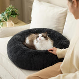 Bedden en banken, dekens en meubels, huisdieren, katten, kattenbedden, katten - bedden, matrassen