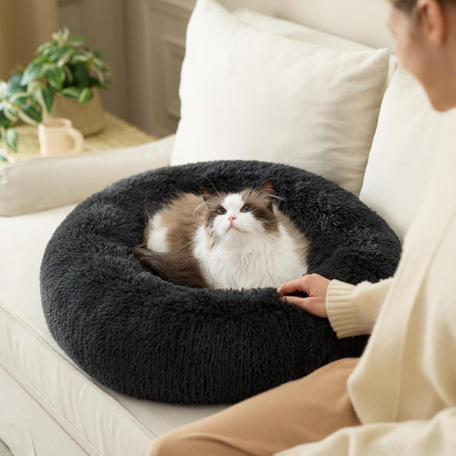 Bedden, dekens & meubels, huisdieren, katten, kattenbedden, Katten - bedden, matrassen