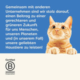 Applaws 100% natuurlijk natvoer voor volwassen katten, diverse soorten vis in saus, multiverpakking, 12 dozen x 70 g
