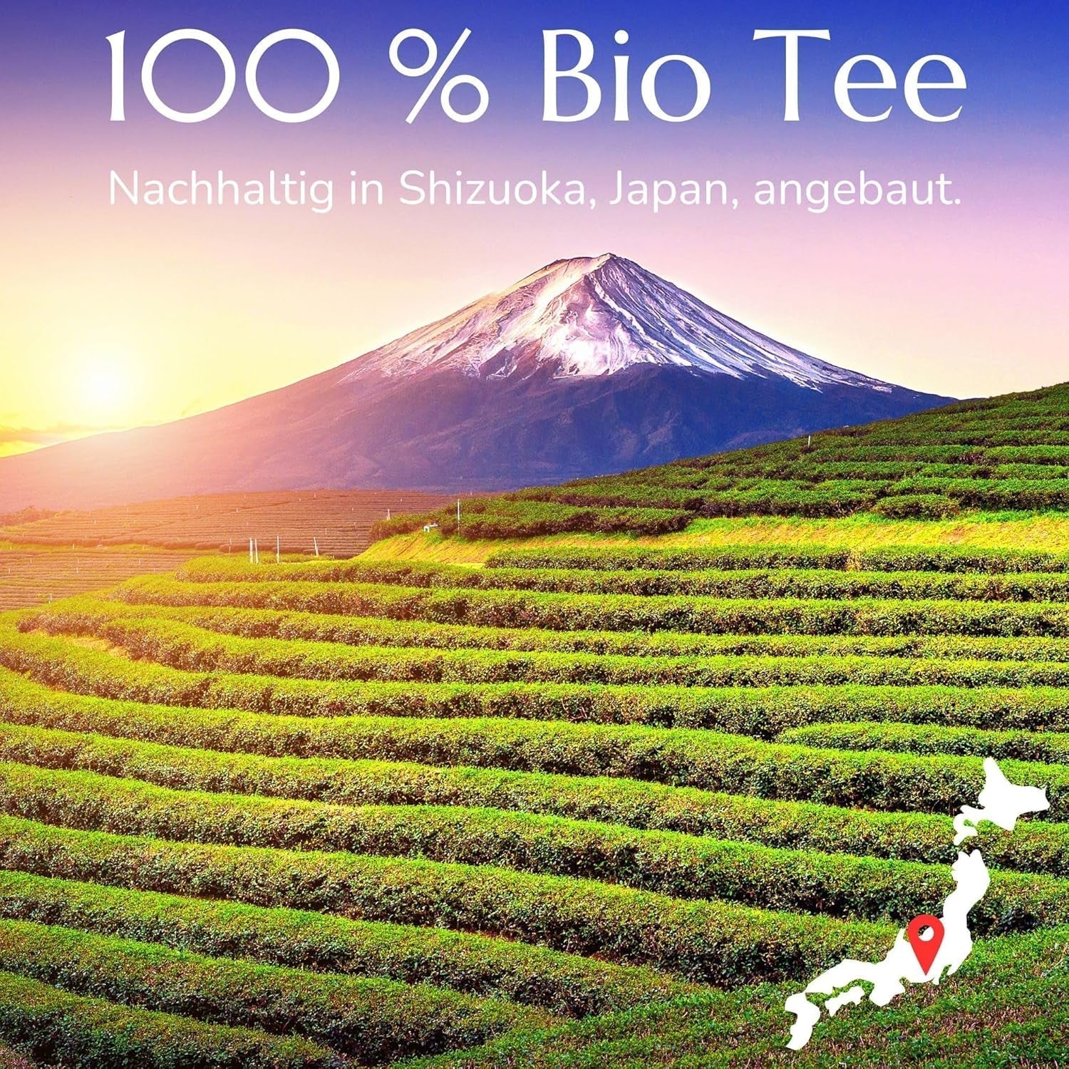 Anna'S Theepot Sencha Biologische Groene Theezakjes - Biologische Japanse Groene Thee 20 Piramidezakjes in een hersluitbare zak