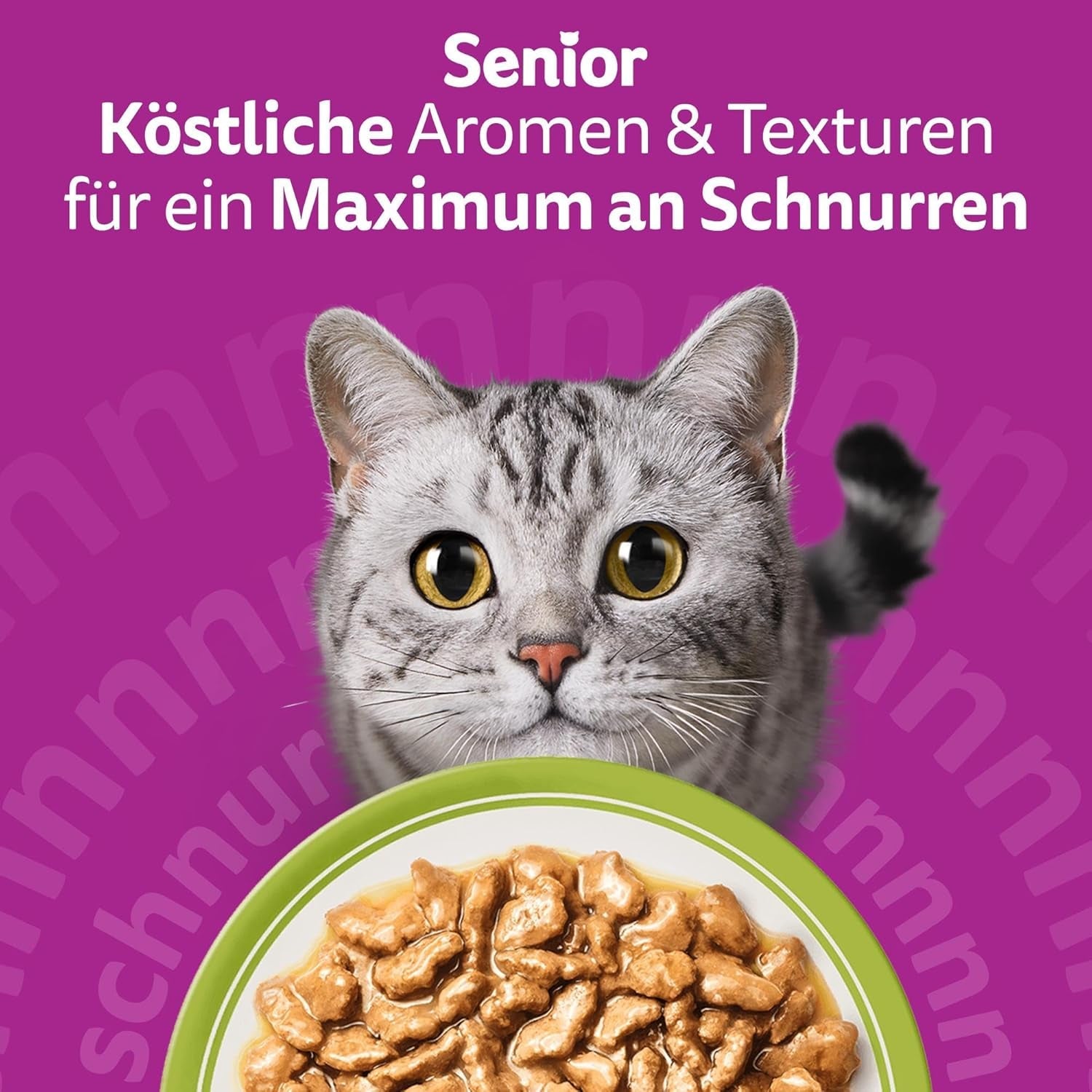 Whiskas Senior 7+ Natvoer Gemengde Selectie in Saus, 48 ​​Zakjes, 12x85g (4 stuks) - Hoogwaardig natvoer voor katten van 7 jaar en ouder