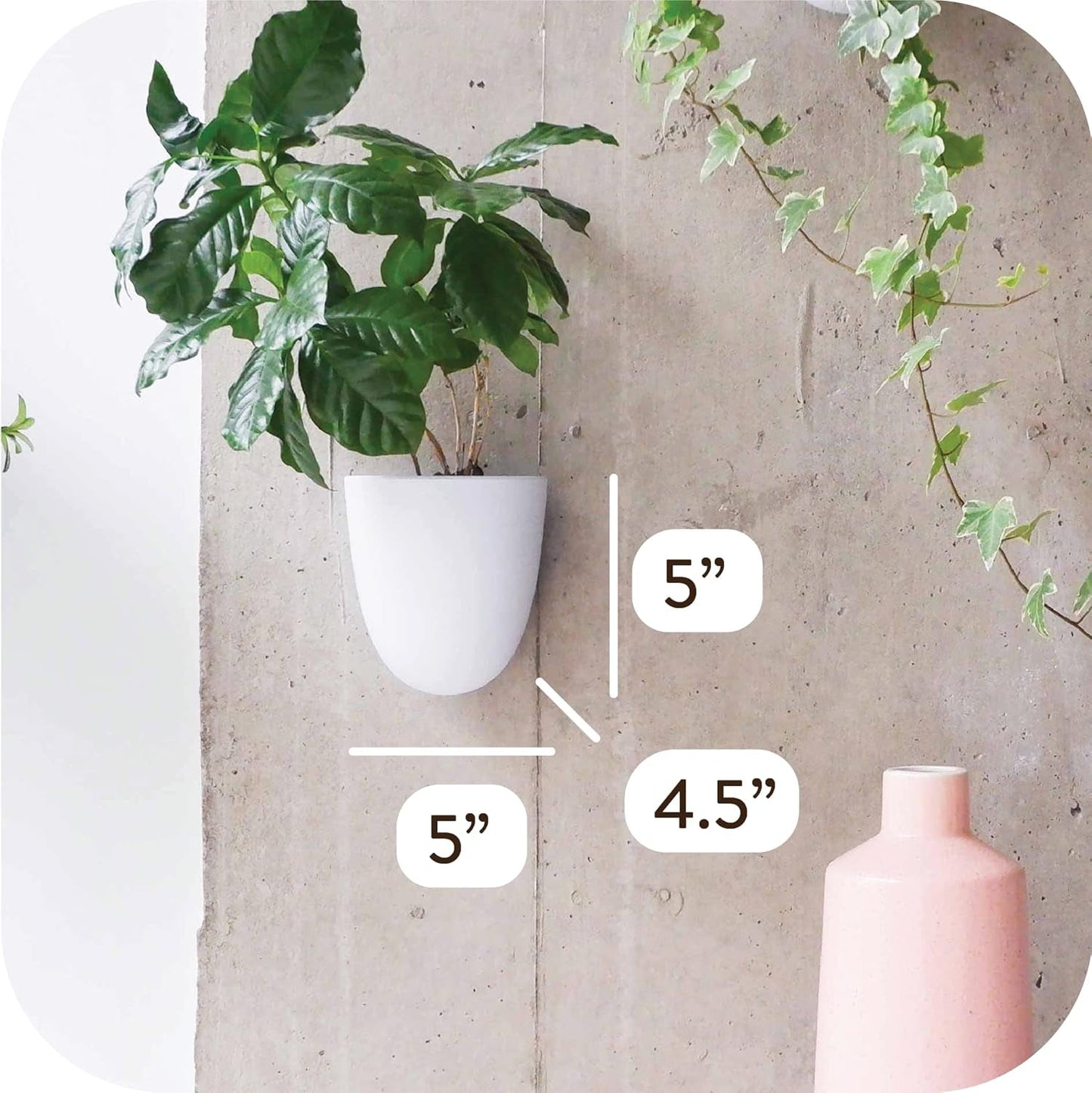Virgo zelfwatergevende muurpotten (set van 6) - eenvoudig water te geven en te installeren - lichtgewicht - creëer uw eigen verticale tuin - muurpotten voor kamerplanten