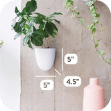 Virgo zelfwatergevende muurpotten (set van 6) - eenvoudig water te geven en te installeren - lichtgewicht - creëer uw eigen verticale tuin - muurpotten voor kamerplanten
