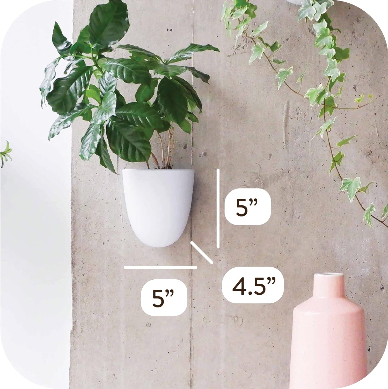 Virgo zelfwatergevende muurpotten (set van 6) - eenvoudig water te geven en te installeren - lichtgewicht - creëer uw eigen verticale tuin - muurpotten voor kamerplanten