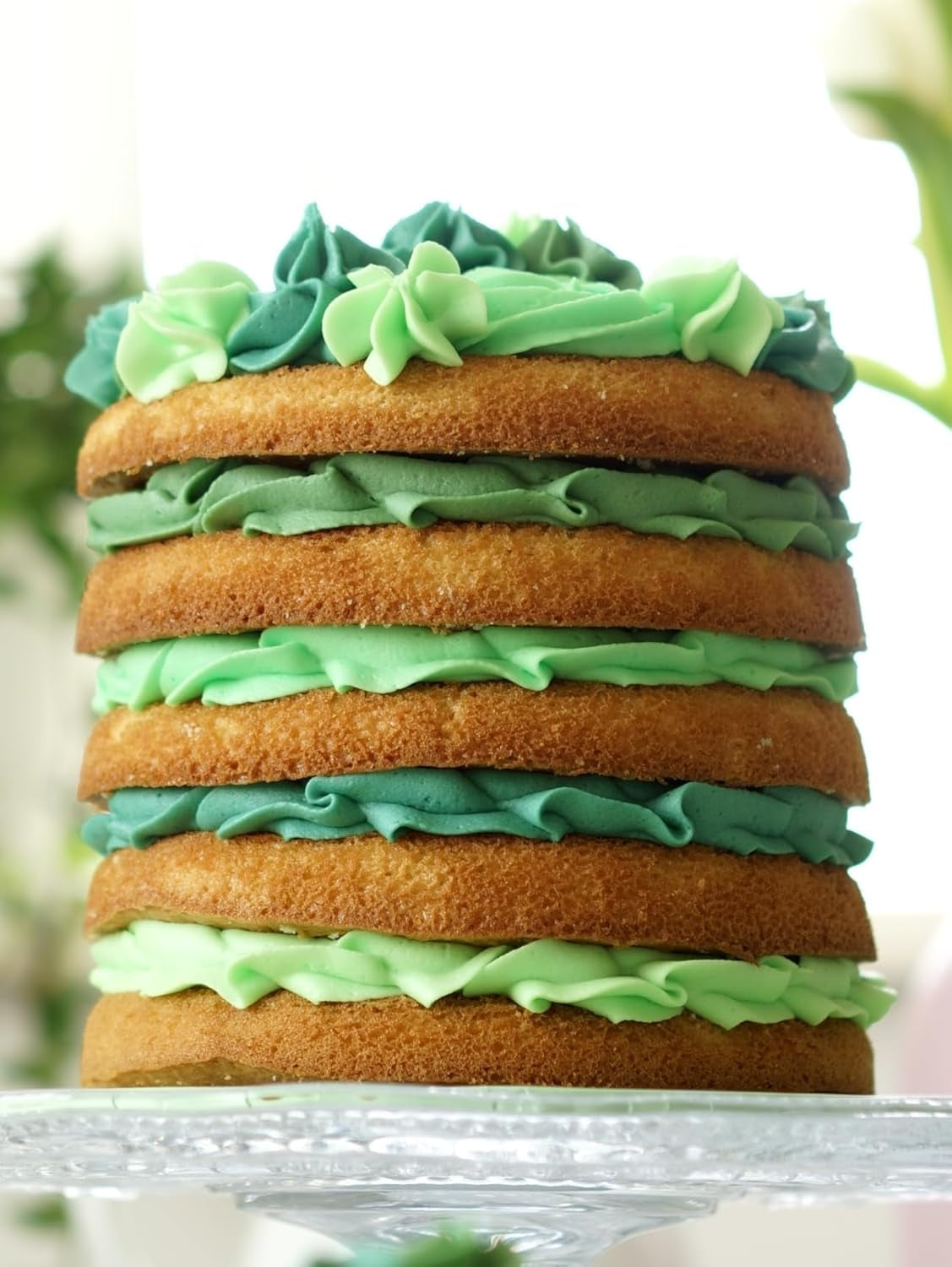 Sugarflair Pasta kleurstof, groen, set van 4, kleurstof voor pasta, fondant, marsepein, suikerpasta, botercrème en meer: ​​Ilex groen, lentegroen, sparrengroen, feestgroen - set van 4