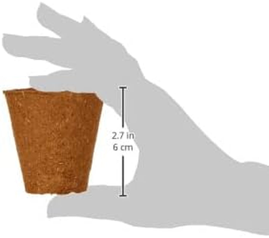 Dehner potten voor zaailingen, rond, Ø 6 cm, 96 stuks, bruin