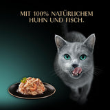 SHEBA Filets Volwassen Katzenfutter in Saus met Kip, Hochseefisch en Garnelen 16 x 60g Shell