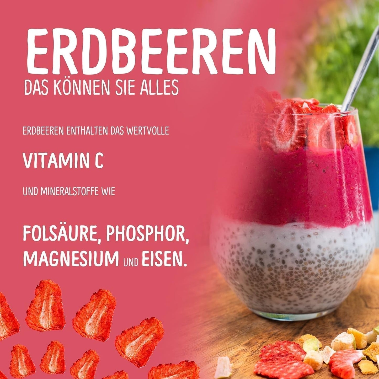 Biologische gevriesdroogde aardbeien: 70g gedroogde aardbeien voor smoothie bowls, muesli, paptoppings - gevriesdroogde bessen zonder toegevoegde suiker - gevriesdroogde aardbeien - NutriPur fruit Gedroogde producten Naty Shop