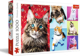 Legpuzzel - "1000" - Portretten van grappige honden Puzzel Naty Shop Grappige katten