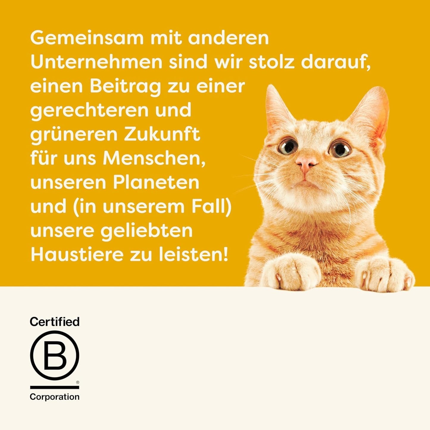 Applaws Romige Kip Graanvrije Snack voor Katten & Kittens 32 Zakjes x 15g