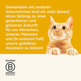 Applaws Romige Kip Graanvrije Snack voor Katten & Kittens 32 Zakjes x 15g