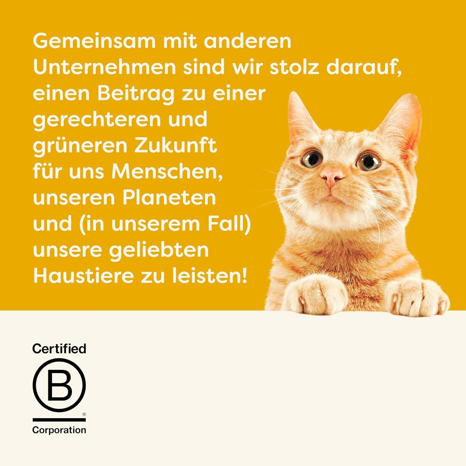 Applaws Romige Kip Graanvrije Snack voor Katten & Kittens 32 Zakjes x 15g