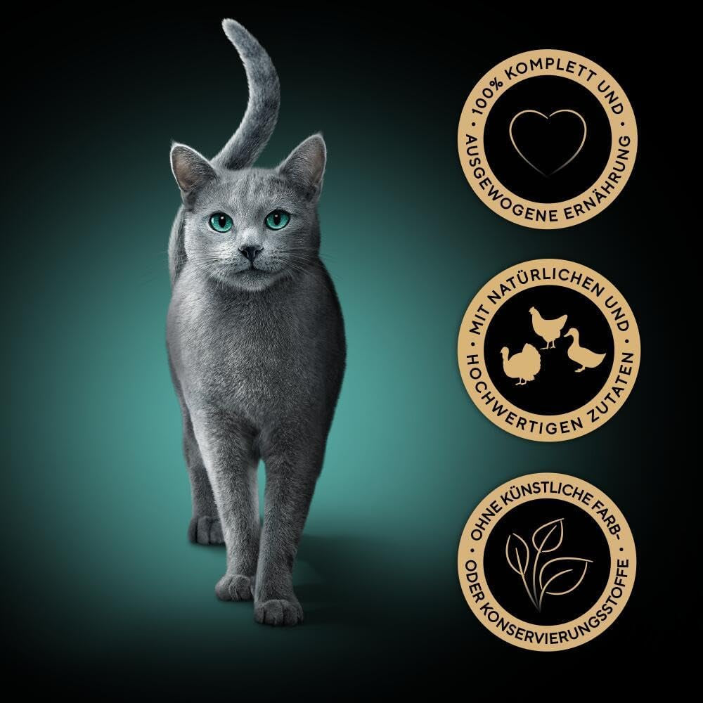Sheba Portiezakjes Nat kattenvoer, vers en fijn kalkoen- en kipgelei multipack, 6x6x50g - Hoogwaardig kattenvoer met kalkoen en kipgelei