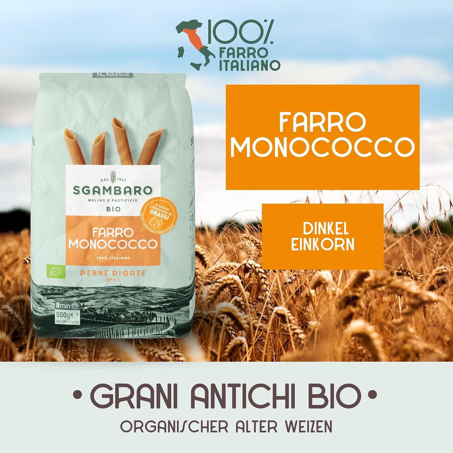 Biologische Penne Rigate Pasta N.91 - 500g Magere tarwepasta - Bron van vezels en eiwitten