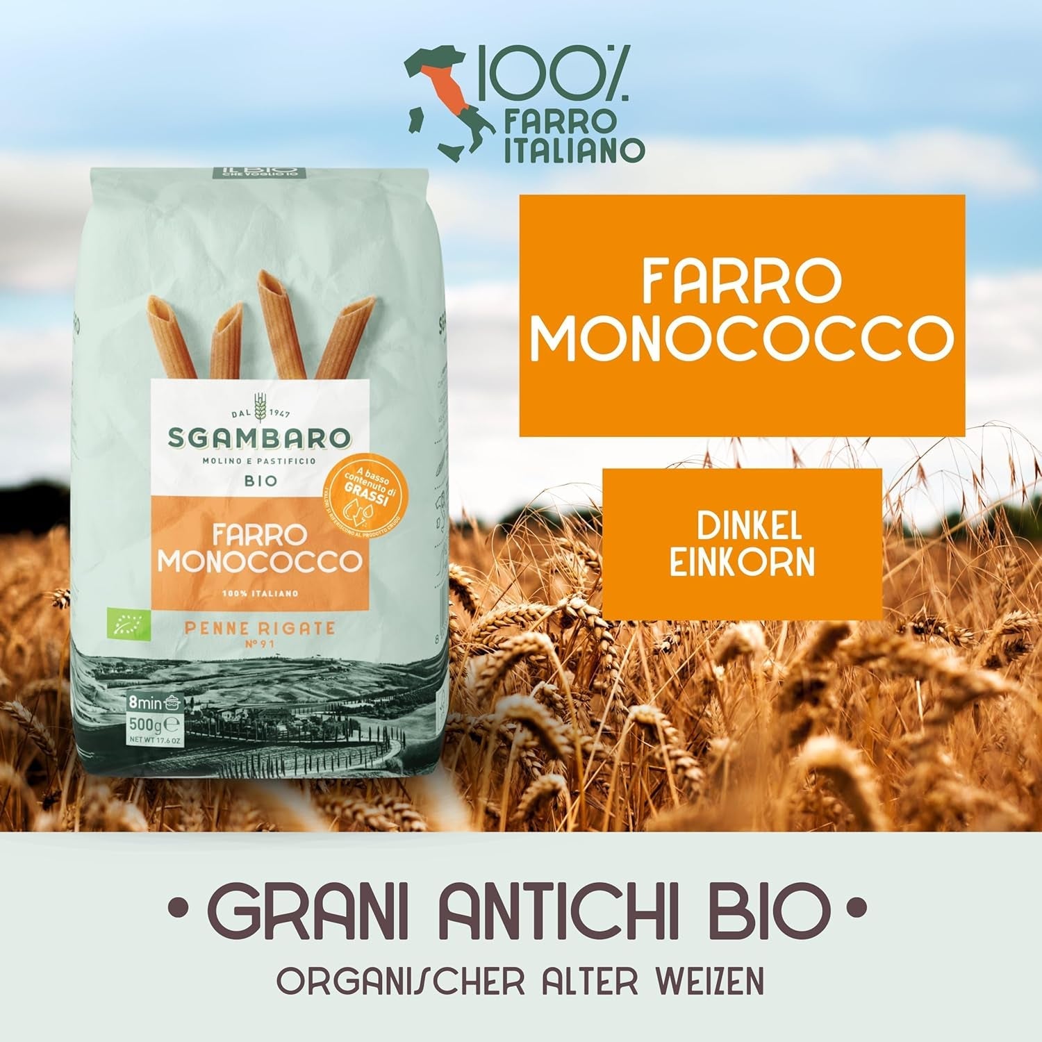 Biologische Penne Rigate Pasta N.91 - 500g Magere tarwepasta - Bron van vezels en eiwitten