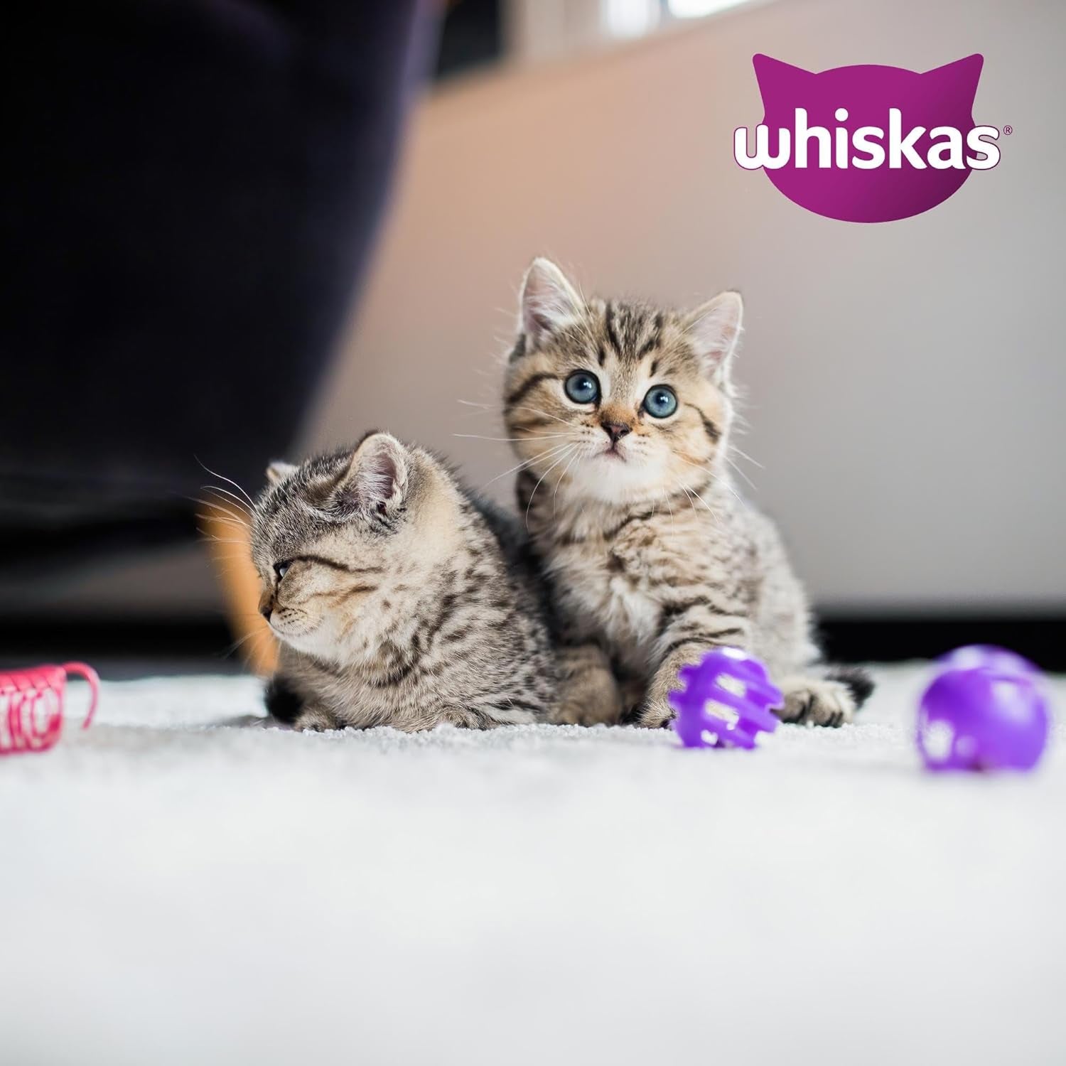 Whiskas Junior Classic Selection Natvoer voor katten in saus, 48 ​​zakjes, 12 x 85 g (4 stuks) - Hoogwaardig natvoer voor opgroeiende katten, 2 tot 12 maanden