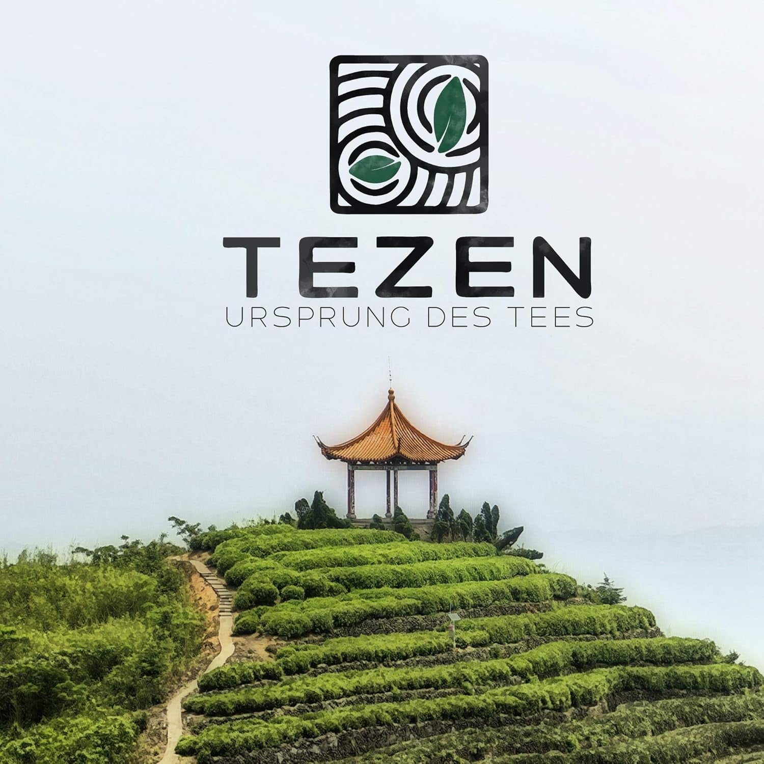 Oolong-melkthee uit Alishan, Taiwan | Jin Xuan Milky Oolong Hoge kwaliteit 100% natuurlijk, zonder smaak (100 g)