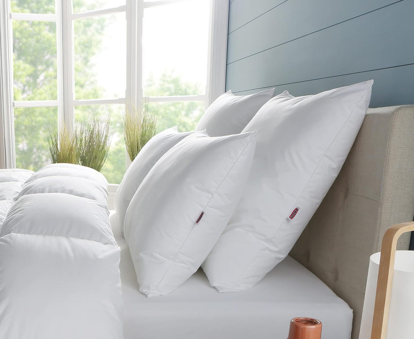 DODO Premium kussen, 60 x 60 cm, medium comfort, Cloud De Douceur kussen | Mijtbestendig en pluizig | Perkaal Katoen + Biezen Machinewasbaar op 40 °C Naty Shop standaard kussens Wit 60/60