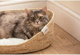 Bedden en banken, dekens en meubels, huisdieren, katten, kattenbedden, katten - bedden, matrassen