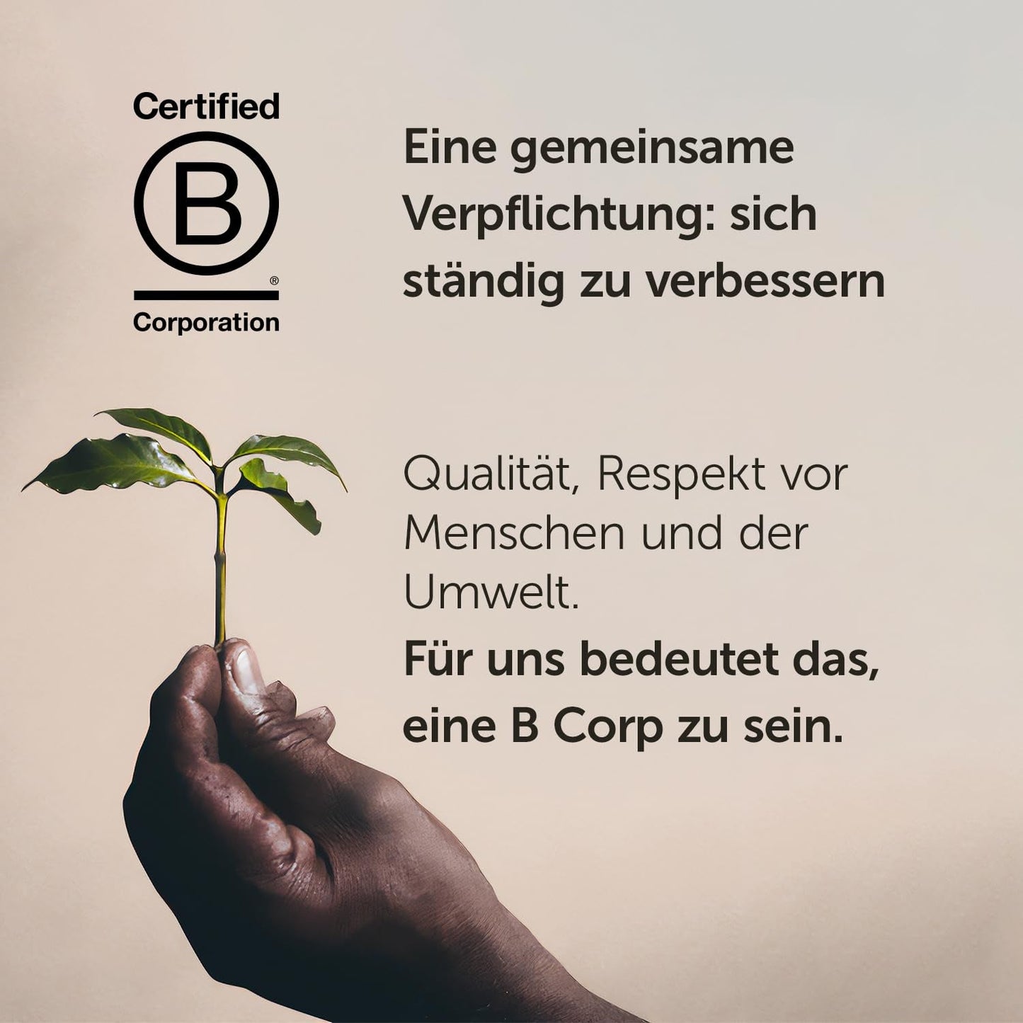 Illy Arabica Selection Guatemala koffiebonen om te malen, doos 250g