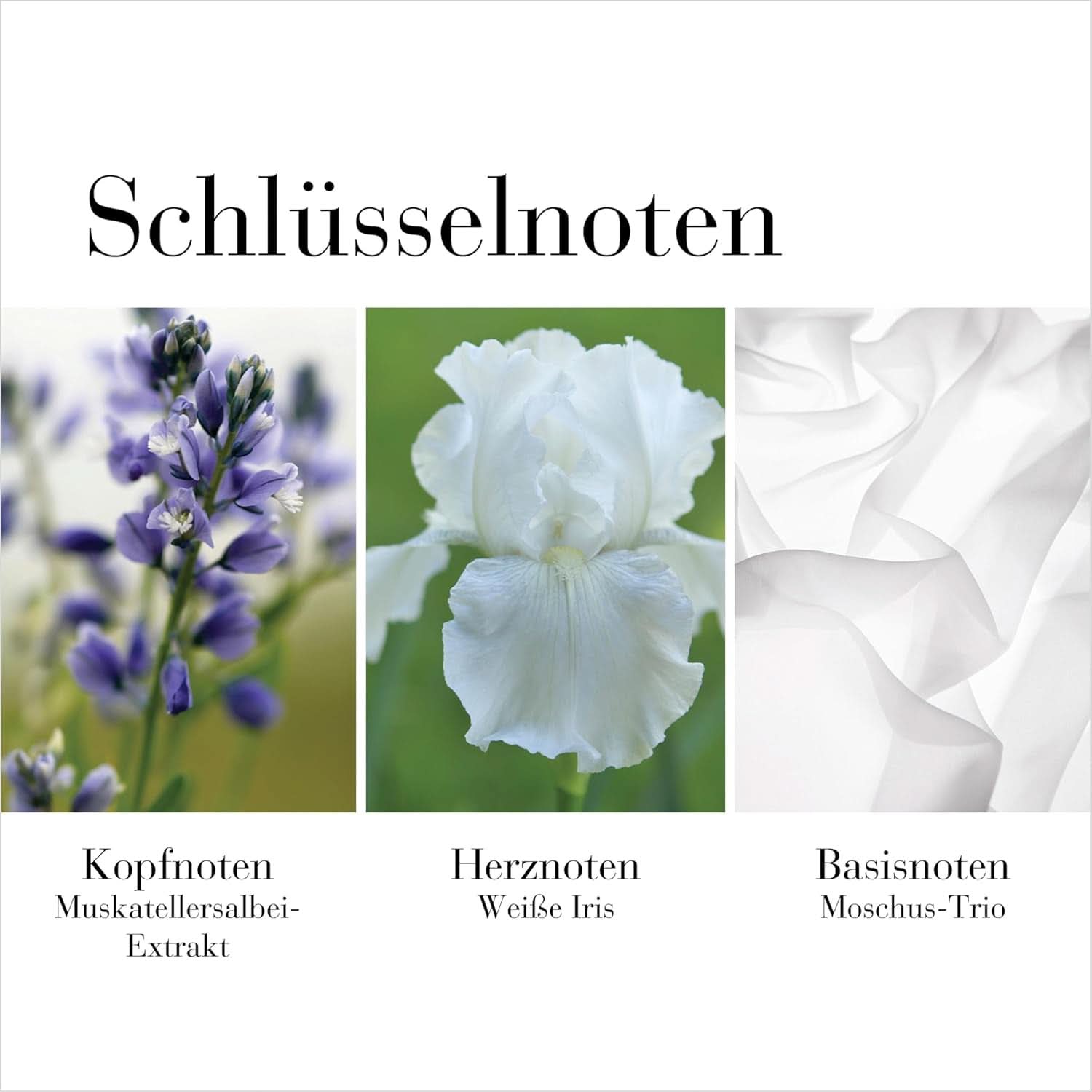 Elizabeth Arden - Witte thee, Bodycrème, met witte thee-smaak, 400 ml Cosmetica en schoonheid Naty Shop