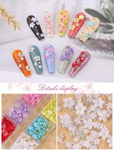 Kalolary Bloemen Nail Art Charms, 3D Acryl Bloemen voor Nagels Vijf Bloemblaadjes Bloemenornamenten Nagel Edelstenen Strass Gemengde Metalen Kralen voor DIY Nail Art Design Sieraden Maken (2 Dozen)