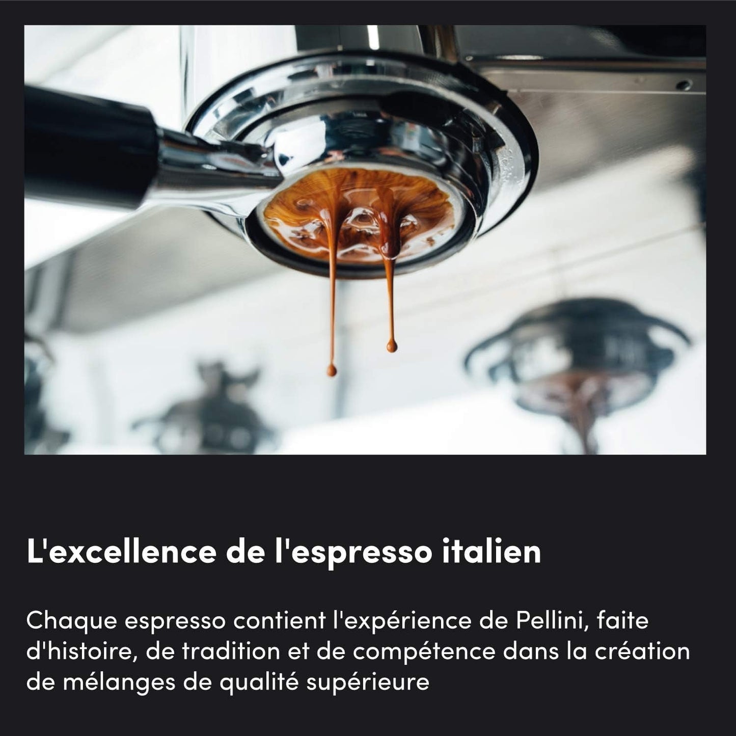pellini nr. 82 Vivace Koffiebonen 500 g