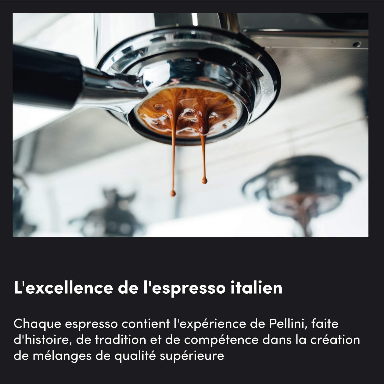 pellini nr. 82 Vivace Koffiebonen 500 g