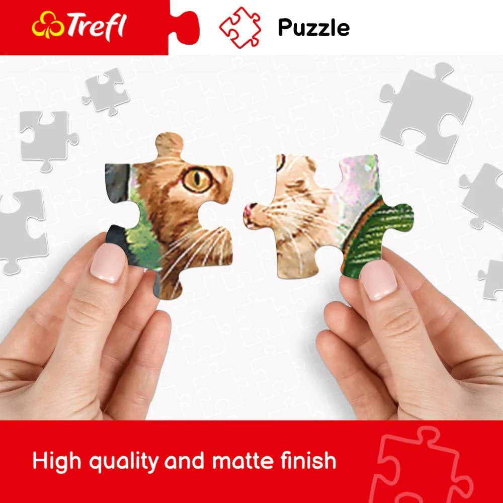 Trefl TR10461 Samudra Beach, India 1000-delige premium kwaliteit voor volwassenen en kinderen 12+ puzzel, kleurrijke puzzel Naty Shop