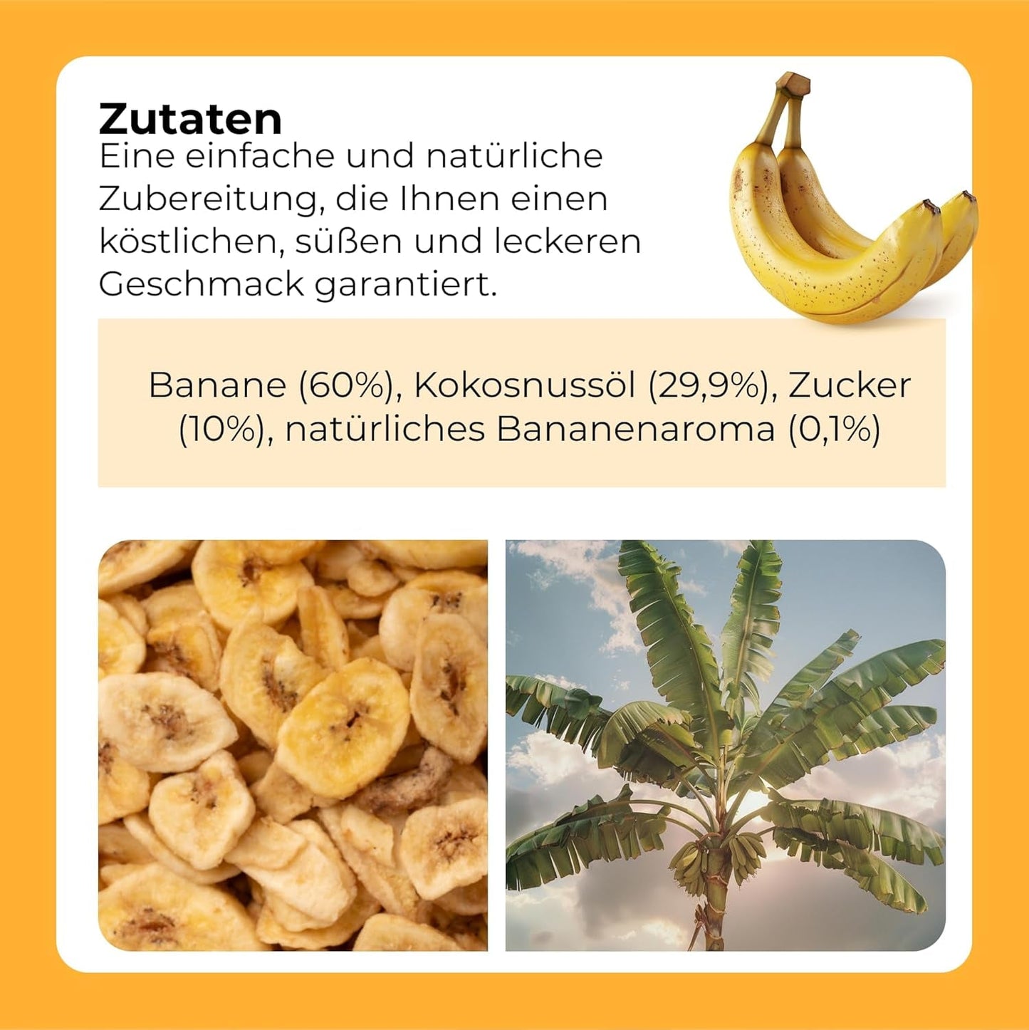 Bananenchips 1 kg | Krokante Plakjes Bananenchips Met Gedroogd Fruit | gezond tussendoortje met een heerlijke smaak | Naty Shop gedehydrateerde producten