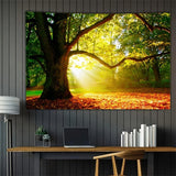Tapijt tapijt bos canvas boom zon hemel Huis - Accessoires en Decoratie Naty Shop 200L X 150B Cm