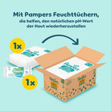 Pampers Premium Protection Pants Größe 6, 78 Windeln, 13kg-19kg, Mit 360° Fitform, 2x gebreide bundels voor Komfort & Schutz + 10 Stück Pampers Aqua Baby-Weuchttücher enthalten