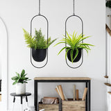 Hangende metalen bloempotten, 2 stuks, zwarte ovale geometrische plantenhanger met potten, moderne wand- en plafondplantenbak, binnen buiten, 15,2 cm, bloempotten, 2 stuks