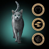 Sheba CATCARE Zak Nat Vers & FIJN (Vis) Stukjes in saus Volwassen 50g Multipack Standaard