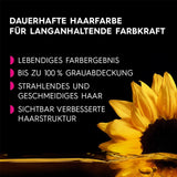 Garnier Olia 110 Cool Ash Blonde Ammoniakvrije permanente haarkleuring met voedende natuurlijke oliën Volledige dekking Grijs haar Permanente kleur 1 stuk (2 stuks) Naty Shop Haarkleuring