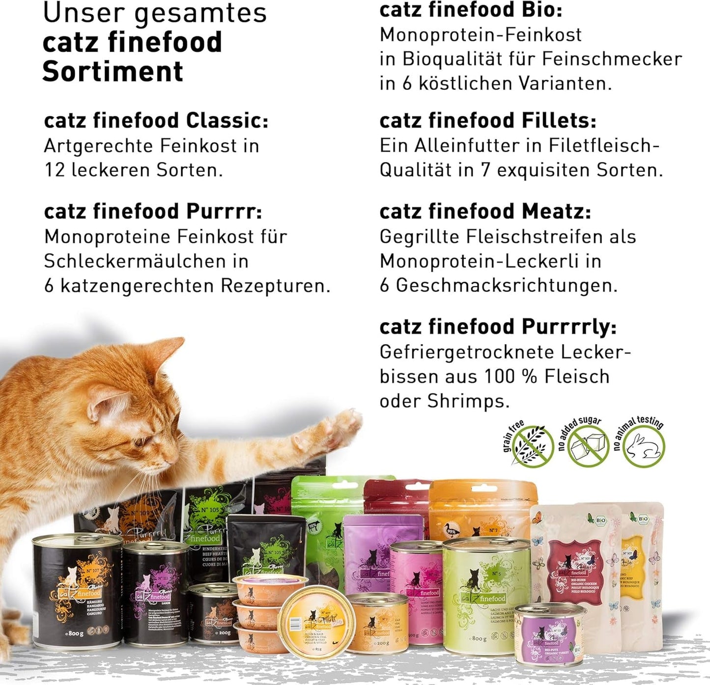 Kattennatvoer Catz Finefood Purrrr met monoproteïne en zalm nr. 105, voor katten met een gevoelige spijsvertering, 16 x 80 g