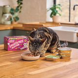 Lily's Kitchen Natural Wet Tender kattenvoer voor volwassen katten, bakken, graanvrije recepten, assortiment (32 bakken x 85 g)